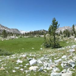 Summit Seekers Experience