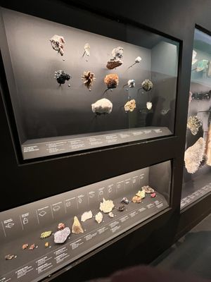 Natural History Museum of Utah by null