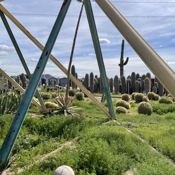 Richards Garden Center - a view of a cactus garden - Nurseries & Gardening Near Me - Phoenix, Arizona