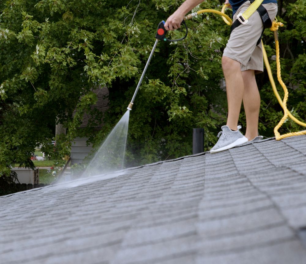Slide of Go Dawgs Roof Roof