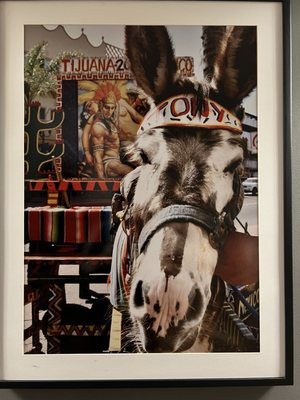 Grand Hotel Tijuana by null