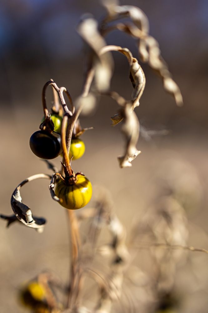 Social spots from Otero Park