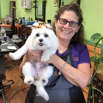 Just For Pause - Holistic Animal Care Near Me - Lyndhurst, New Jersey Just For Pause - Holistic Animal Care Near Me - Lyndhurst, New Jersey
