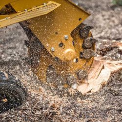 All American Arborists