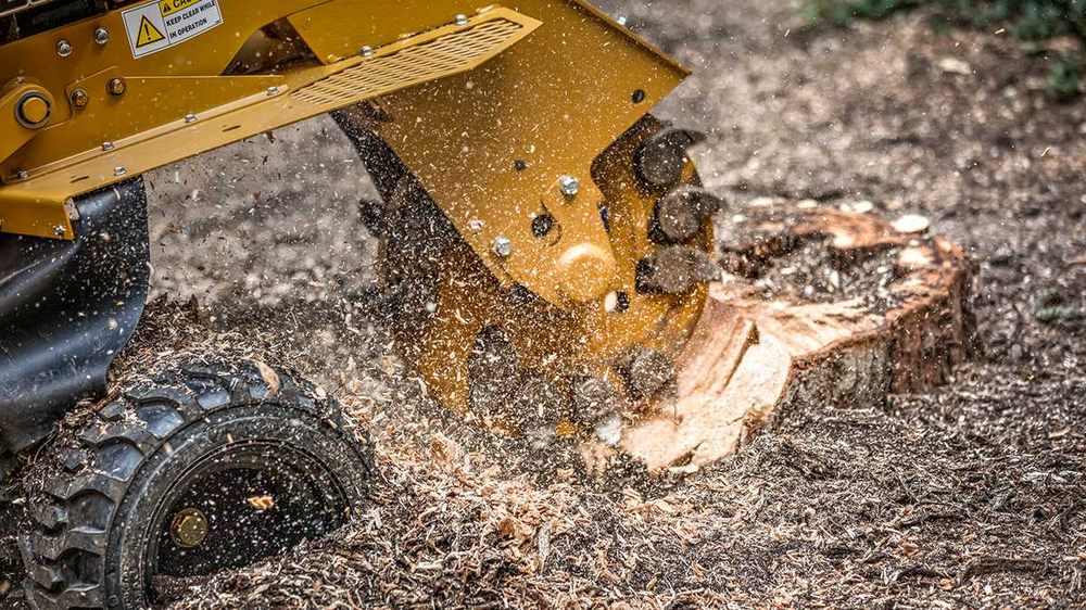 All American Arborists - tree service in Colorado Springs, CO