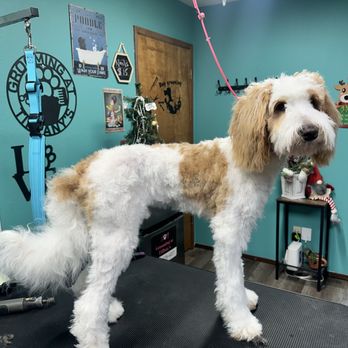 1. Grooming at Tiffany’s