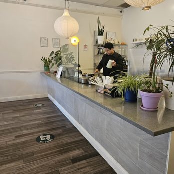 Caffeine Society - Inside - Coffee & Tea Near Me - Sacramento, California