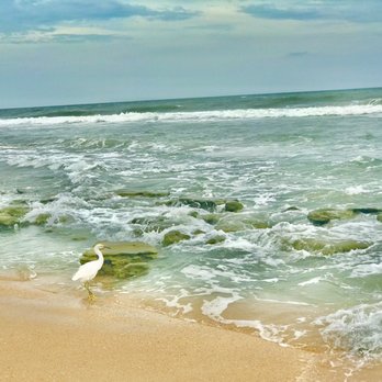 Jungle Hut Park Beach - Beaches Near Me - Palm Coast, Florida Jungle Hut Park Beach - Beaches Near Me - Palm Coast, Florida