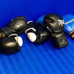 Logic Brazilian Jiu-Jitsu Pasadena