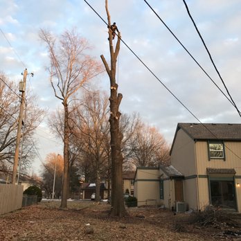 Champ Vision Roofing Services - Tree cutting - Roofing Near Me - Houston, Texas Champ Vision Roofing Services - Tree cutting - Roofing Near Me - Houston, Texas