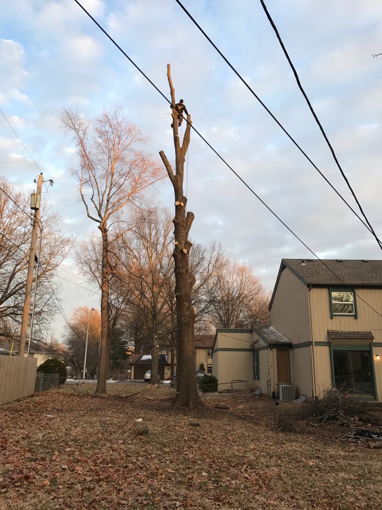 Slide of Champ Vision Roofing Services