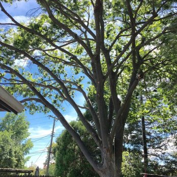 A&S Landscape Maintenance - Tree Services Near Me A&S Landscape Maintenance - Tree Services Near Me