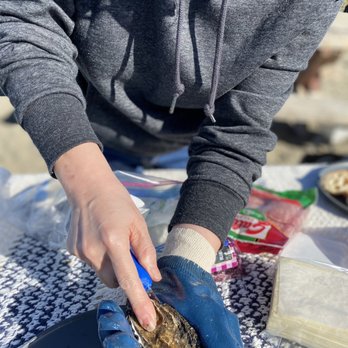 Hog Island Oyster - Shucking the first one was a struggle, but it's easy to get a hang of - Seafood Near Me - Marshall, California Hog Island Oyster - Shucking the first one was a struggle, but it's easy to get a hang of - Seafood Near Me - Marshall, California