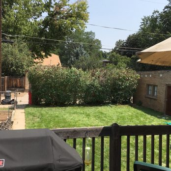Rushton Tree Service - After. Very happy with it. - Tree Services Near Me - Castle Rock, Colorado Rushton Tree Service - After. Very happy with it. - Tree Services Near Me - Castle Rock, Colorado