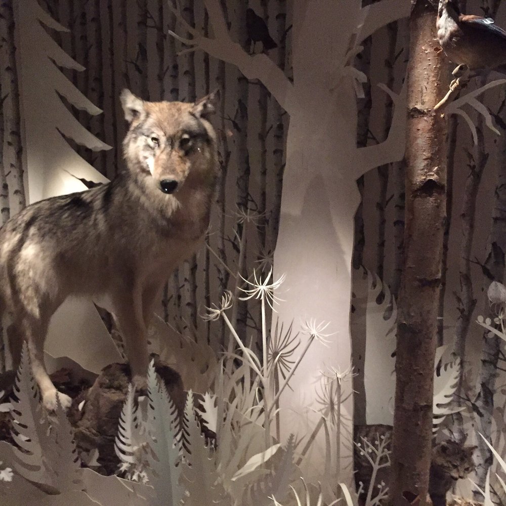 Manchester Museum - Museums Near Me - Manchester, XGM Manchester Museum - Museums Near Me - Manchester, XGM