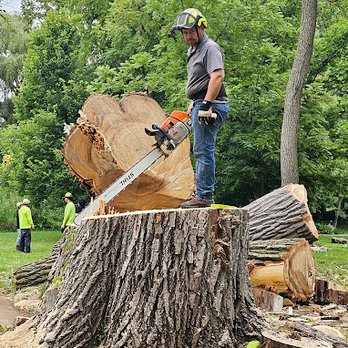 Lj Tree Service - Tree Services Near Me - Aurora, Illinois