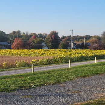 61 Vineyard - Wine Tasting Room Near Me - Damascus, Maryland