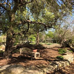 Brushy Creek Municipal Utility District - Clean park.