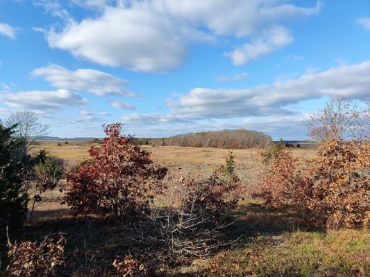 Mass Audubon Wellfleet Bay Wildlife Sanctuary by null