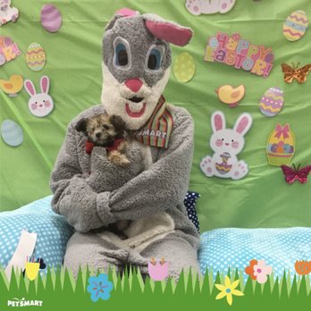 PetSmart - Easter bunny pictures * the Easter bunny looks scary ): * but hey it was free! - Pet Training Near Me - Pasadena, California