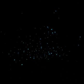 Hokitika Glowworm Dell - Active Life Near Me Hokitika Glowworm Dell - Active Life Near Me