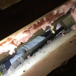 They are expert at what they do, even when the space is tight.