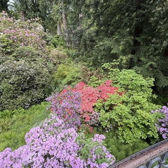 Bloedel Reserve - Parks Near Me - Bainbridge Island, Washington Bloedel Reserve - Parks Near Me - Bainbridge Island, Washington