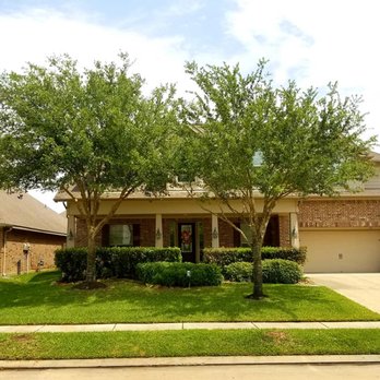 Trees 101 - Tree Services Near Me Trees 101 - Tree Services Near Me