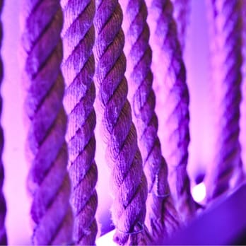 evers - Dance Clubs Near Me - Unterweitersdorf, 4