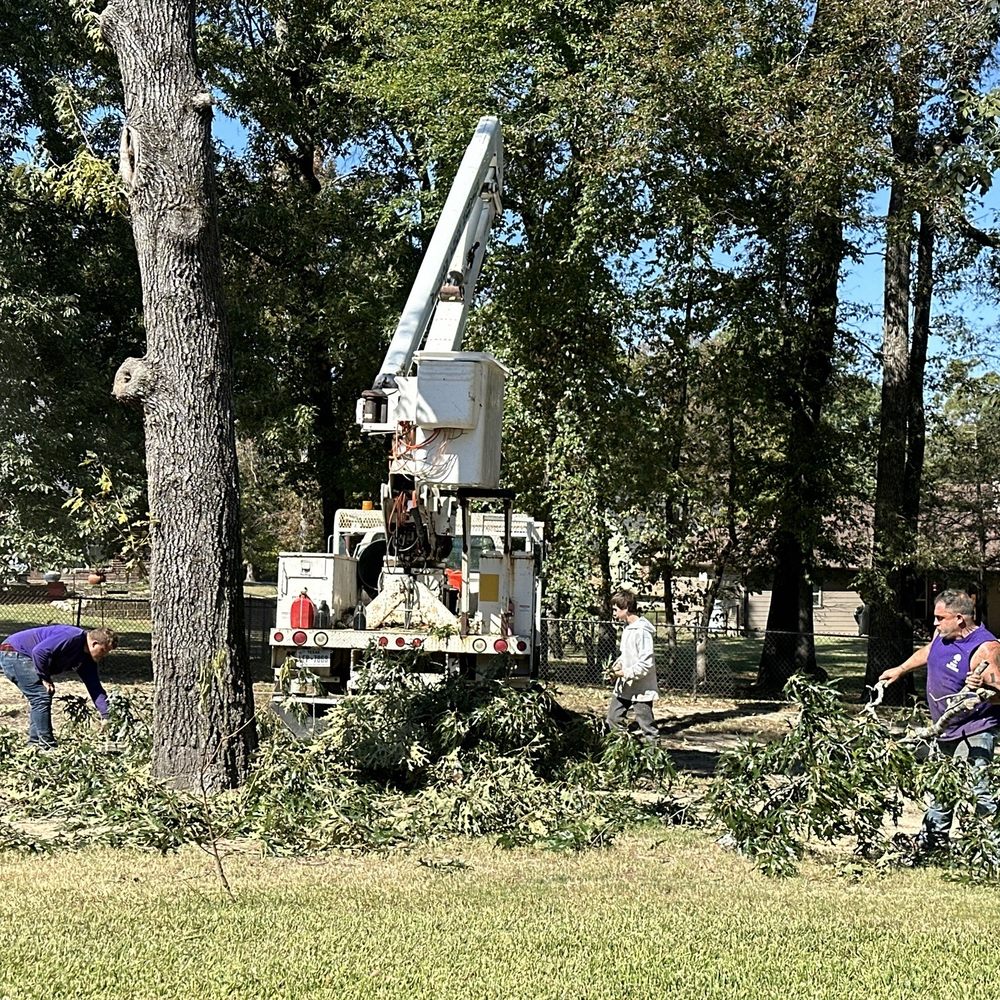Wilson's Tree Service - Tree removal and cleanup - Tree Services Near Me - North Ridgeville, Ohio Wilson's Tree Service - Tree removal and cleanup - Tree Services Near Me - North Ridgeville, Ohio