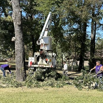 Wilson's Tree Service - Tree removal and cleanup - Tree Services Near Me - North Ridgeville, Ohio Wilson's Tree Service - Tree removal and cleanup - Tree Services Near Me - North Ridgeville, Ohio