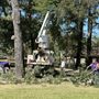 Photo of Wilson's Tree Service