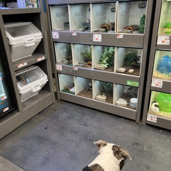 Pet Supplies Plus Surprise - Pet Stores Near Me - Surprise, Arizona Pet Supplies Plus Surprise - Pet Stores Near Me - Surprise, Arizona