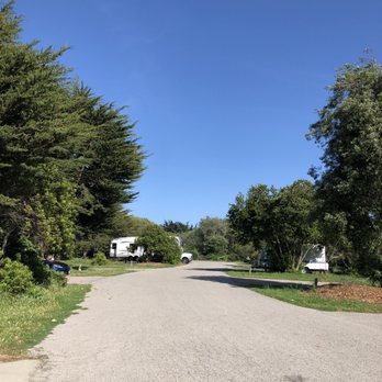San Simeon State Park & Campground - Beautiful weather! Tons of trees and greenery. - Parks Near Me - Cambria, California San Simeon State Park & Campground - Beautiful weather! Tons of trees and greenery. - Parks Near Me - Cambria, California