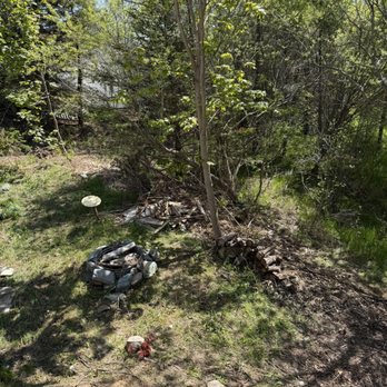 Sheppard's Tree Services - After - Tree Services Near Me - Upper Island Cove, Newfoundland and Labrador Sheppard's Tree Services - After - Tree Services Near Me - Upper Island Cove, Newfoundland and Labrador
