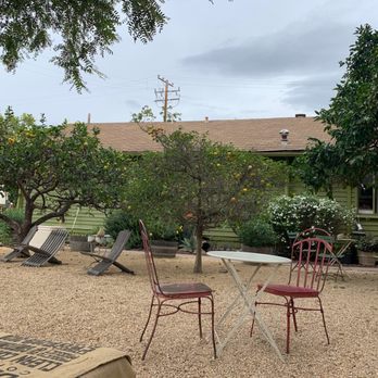 Dart Coffee Co - lemon and orange trees - Coffee Roasteries Near Me - Santa Barbara, California Dart Coffee Co - lemon and orange trees - Coffee Roasteries Near Me - Santa Barbara, California