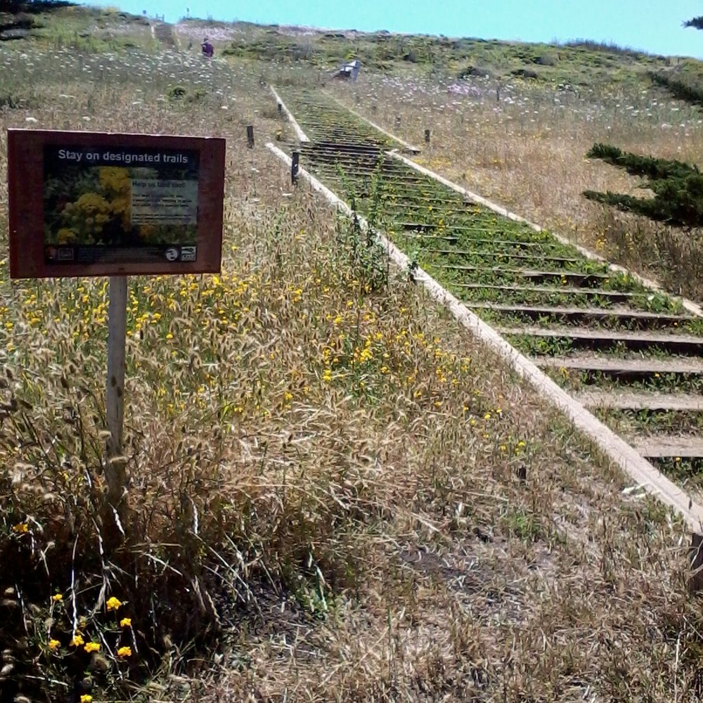 Pacifica Pier - Bootlegging Trail - Beaches Near Me - Pacifica, California Pacifica Pier - Bootlegging Trail - Beaches Near Me - Pacifica, California