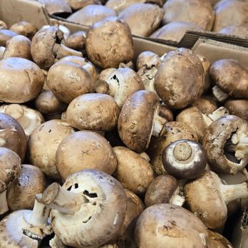 Berry Good Produce - Mushrooms - Farmers Market Near Me - Portland, Oregon Berry Good Produce - Mushrooms - Farmers Market Near Me - Portland, Oregon