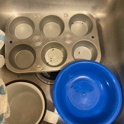 Medallion Property Management - Droppings in my dishes that were in the sink.