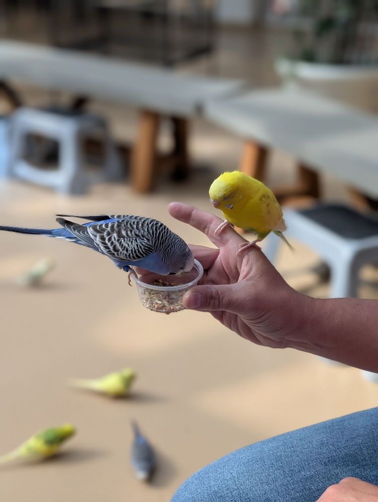 Science Museum of Western Virginia