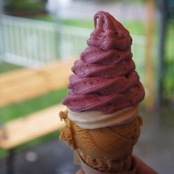 Love’s Ice Cream - Double scoop ($6.75); local organic blackcurrant and salted caramel.