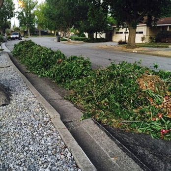 We Care Tree Care - Tree Services Near Me - San Jose, California We Care Tree Care - Tree Services Near Me - San Jose, California