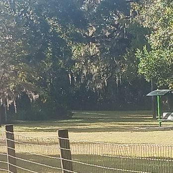Squirrel Ridge Park - Small dog park goes on forever - Parks Near Me - Gainesville, Florida