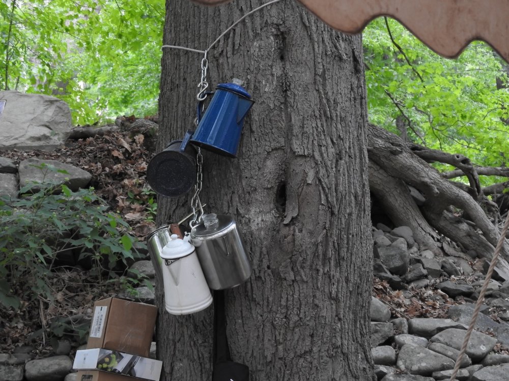 KITTATINNY CANOES Updated September 2024 39 Photos & 87 Reviews