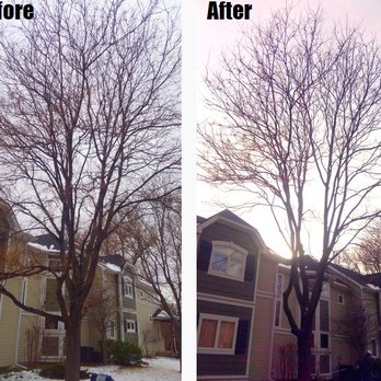 Maxim's Tree Service - Tree Services Near Me Maxim's Tree Service - Tree Services Near Me
