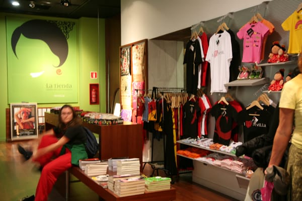 Flamenco Dance Museum by null