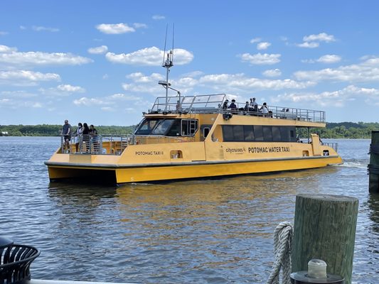 City Cruises Alexandria The Wharf Water Taxi by null