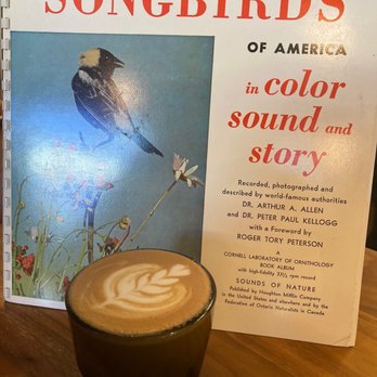Stylus and Crate - The service is wonderful and the food is even better! Give this coffee shop a try, I promise you won't walk away dissatisfied. - Coffee & Tea Near Me - Wheat Ridge, Colorado