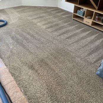 Steam Action - Carpet cleaned and stains removed. - Carpet Cleaning Near Me