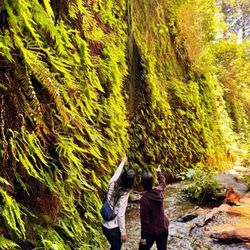 Fern Canyon Trailhead - It's breathtaking out here